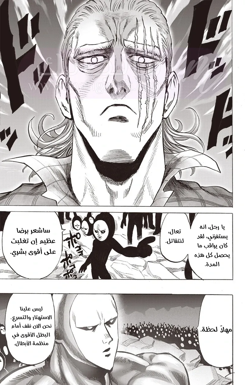 Read One Punch Man AR Manga Online