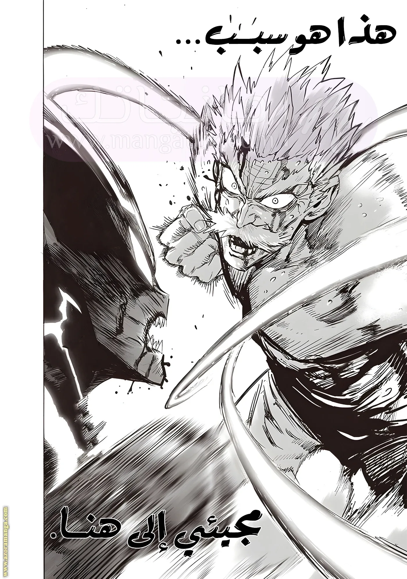 Read One Punch Man AR Manga Online