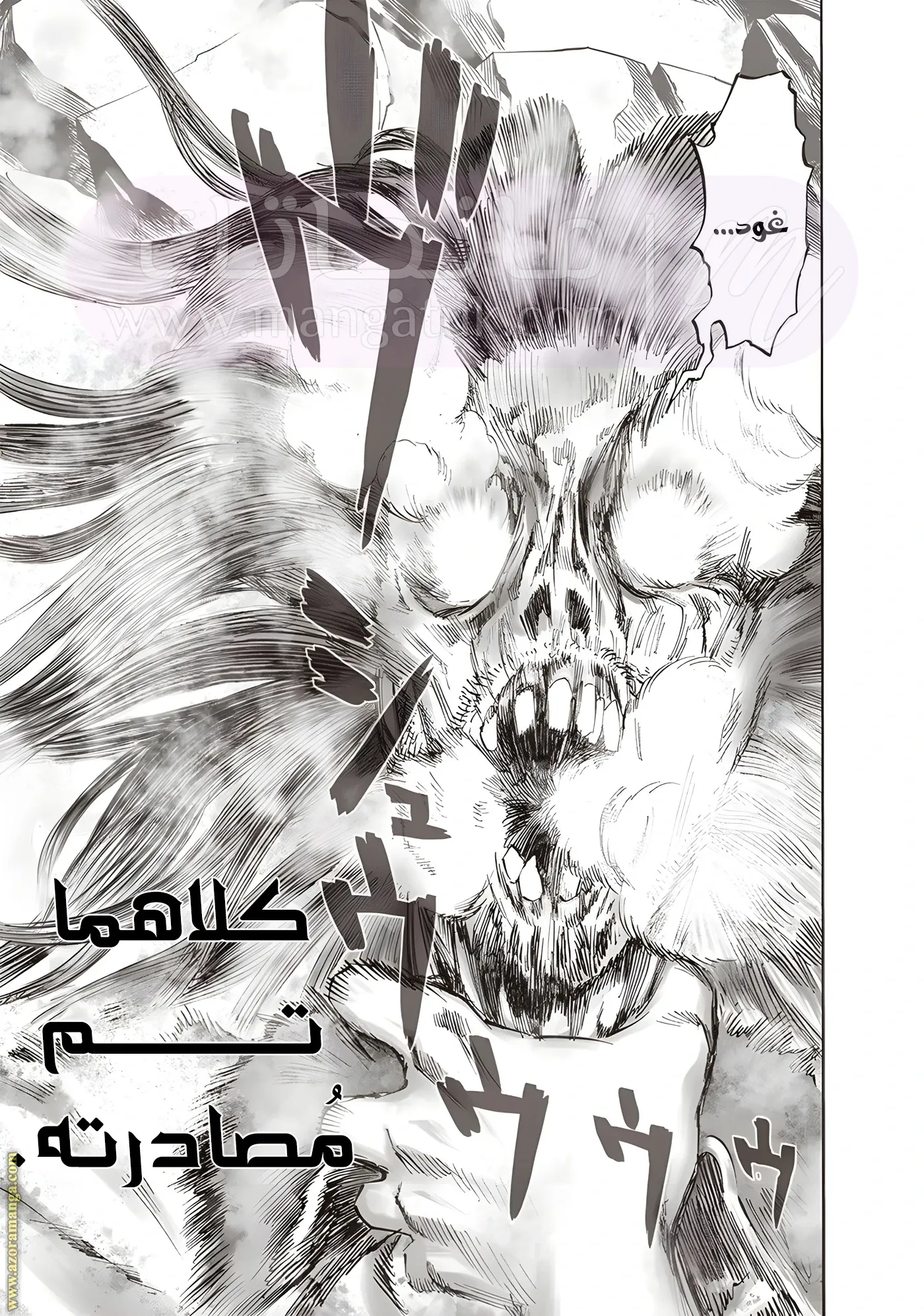 Read One Punch Man AR Manga Online
