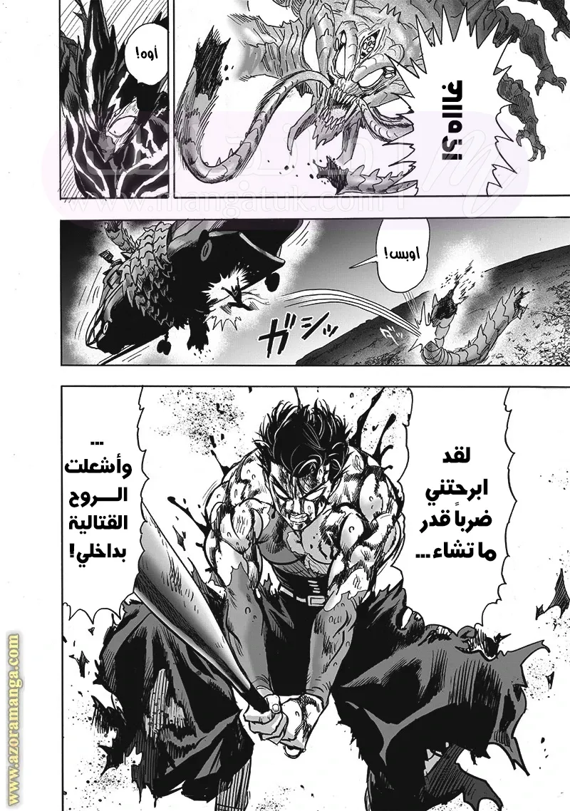 Read One Punch Man AR Manga Online