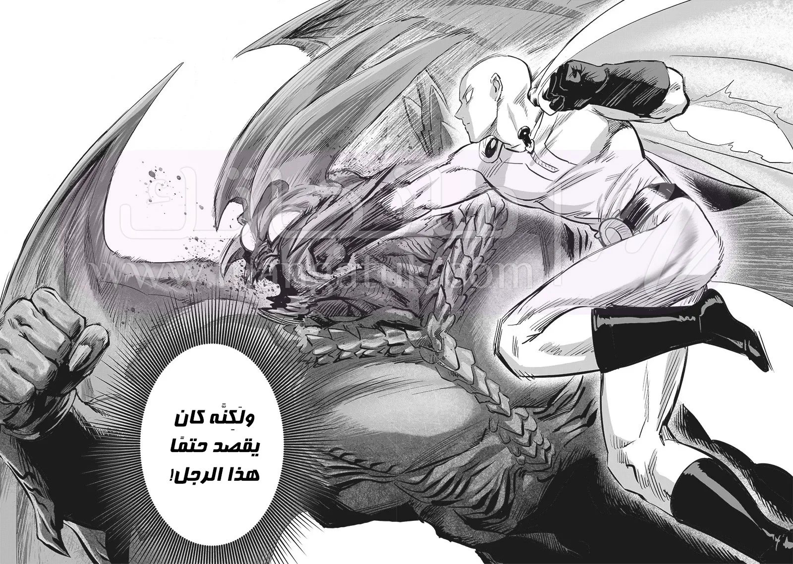 Read One Punch Man AR Manga Online