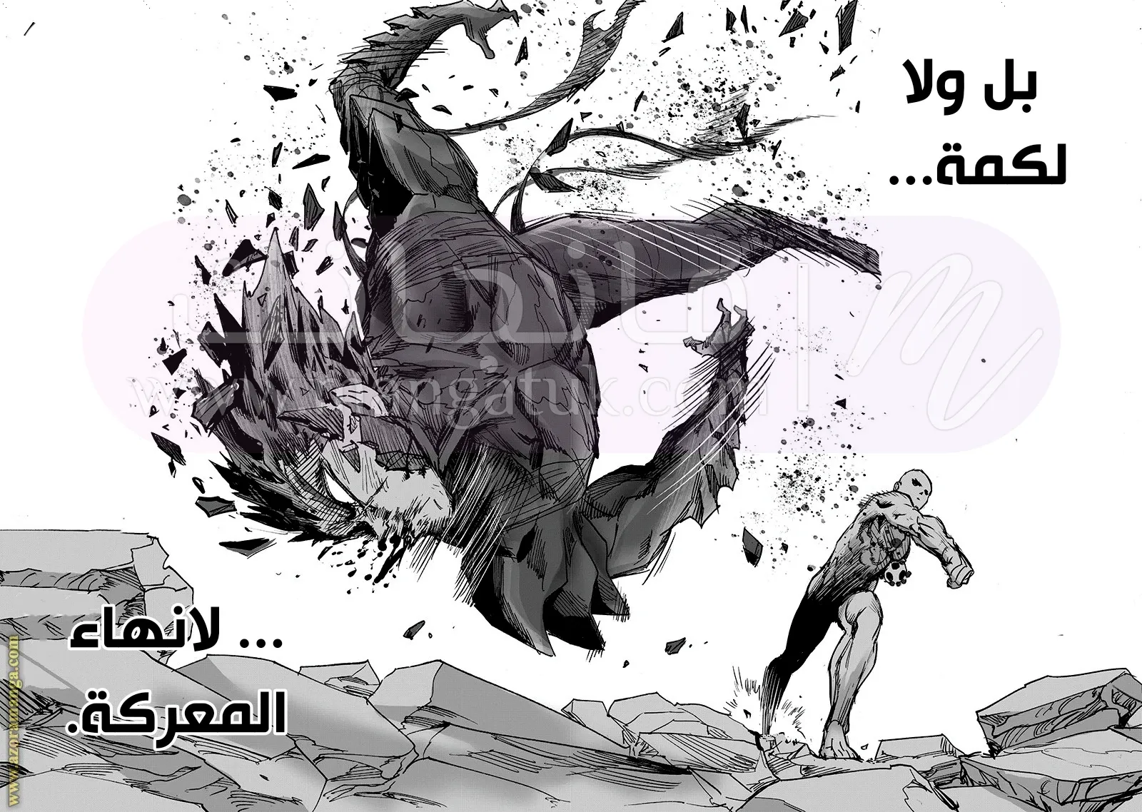 Read One Punch Man AR Manga Online