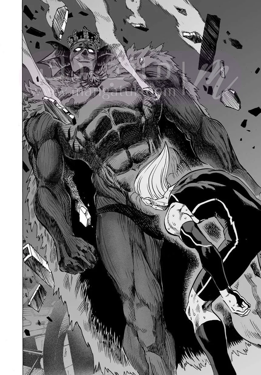 Read One Punch Man AR Manga Online