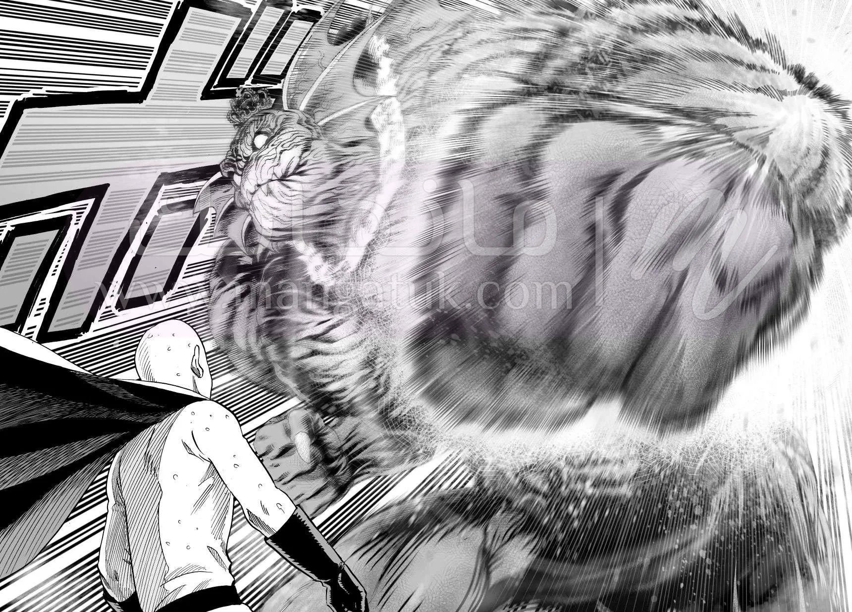 Read One Punch Man AR Manga Online