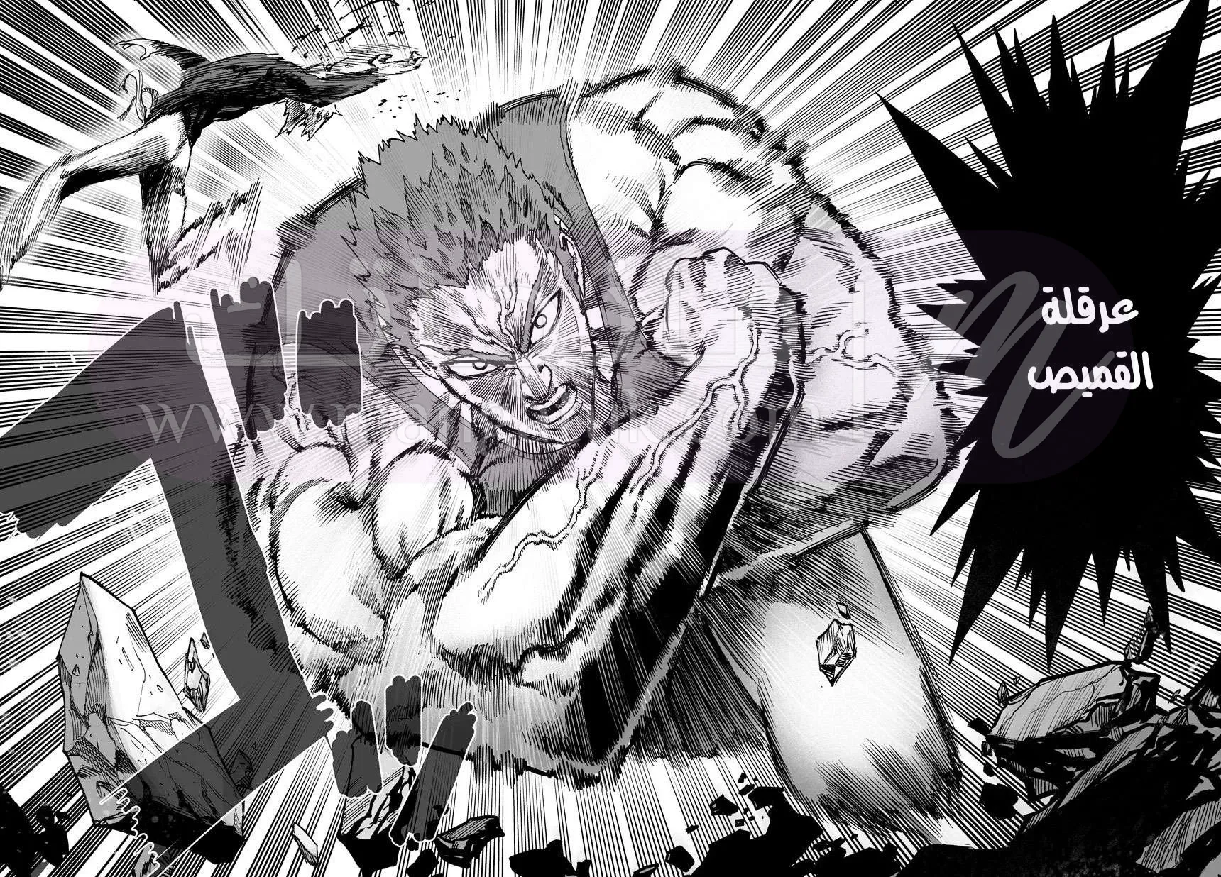 Read One Punch Man AR Manga Online