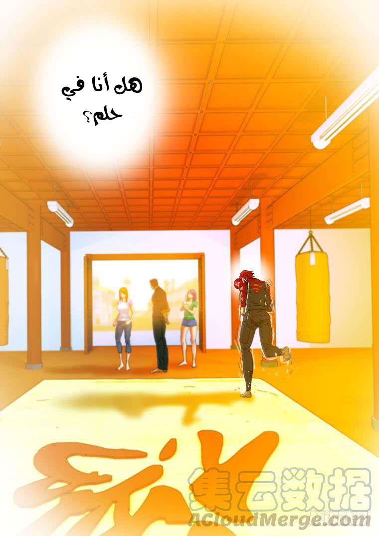 Read Private hero AR Manga Online