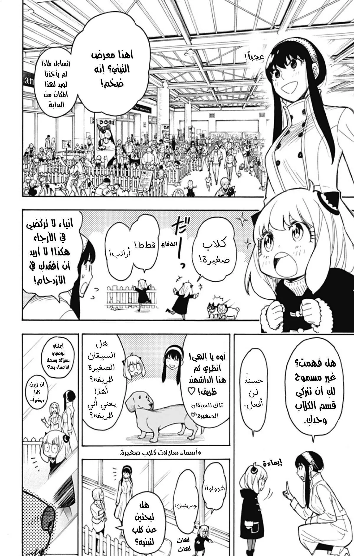 Read SPYxFAMILY AR Manga Online