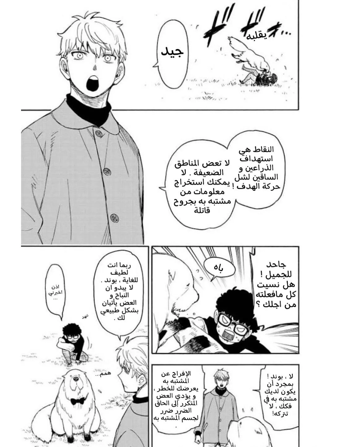 Read SPYxFAMILY AR Manga Online