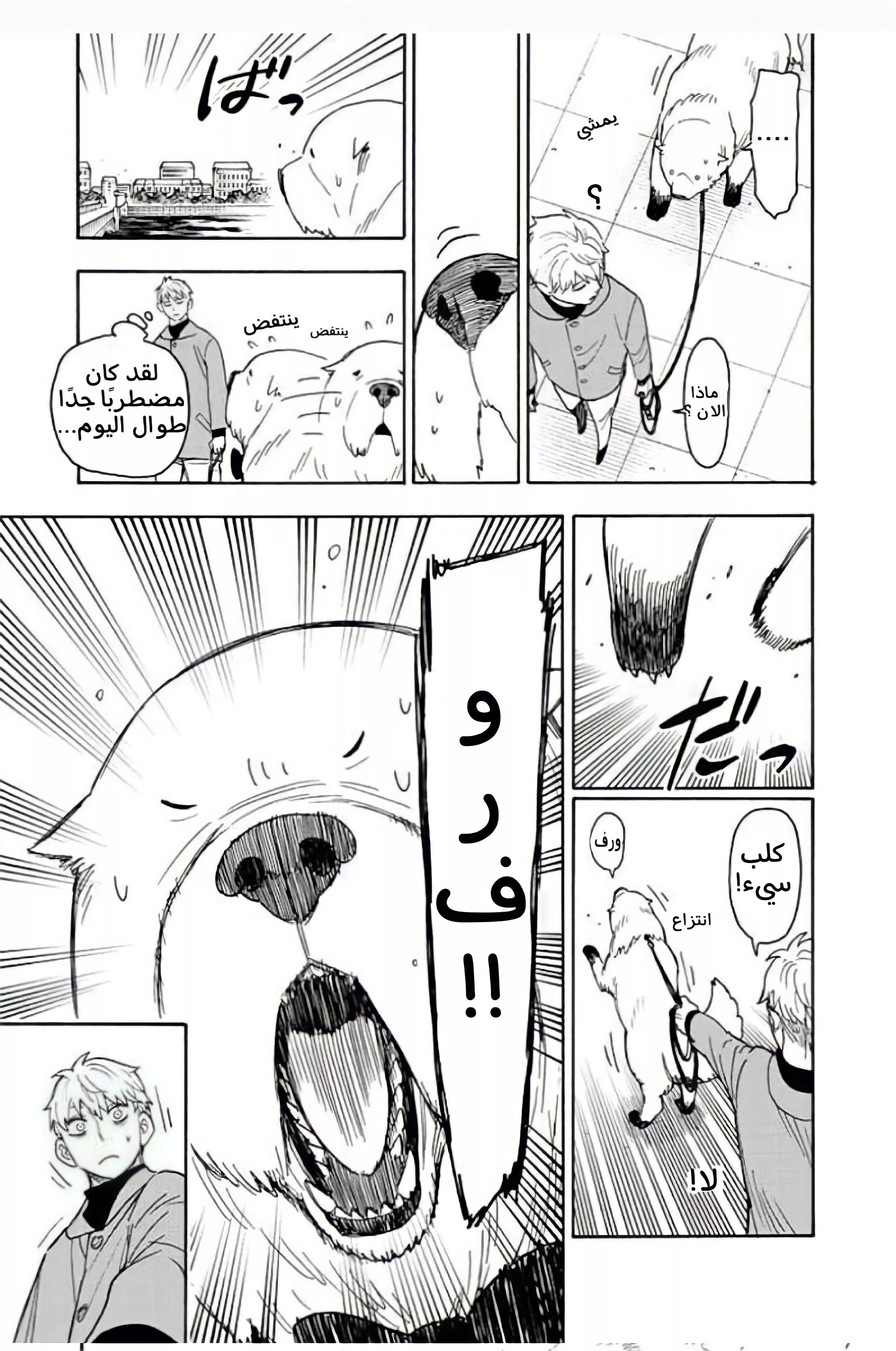 Read SPYxFAMILY AR Manga Online