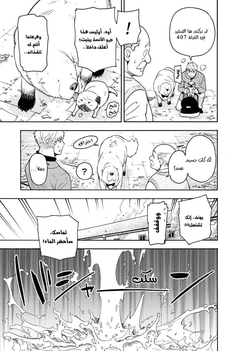 Read SPYxFAMILY AR Manga Online