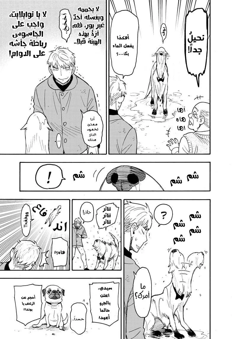 Read SPYxFAMILY AR Manga Online