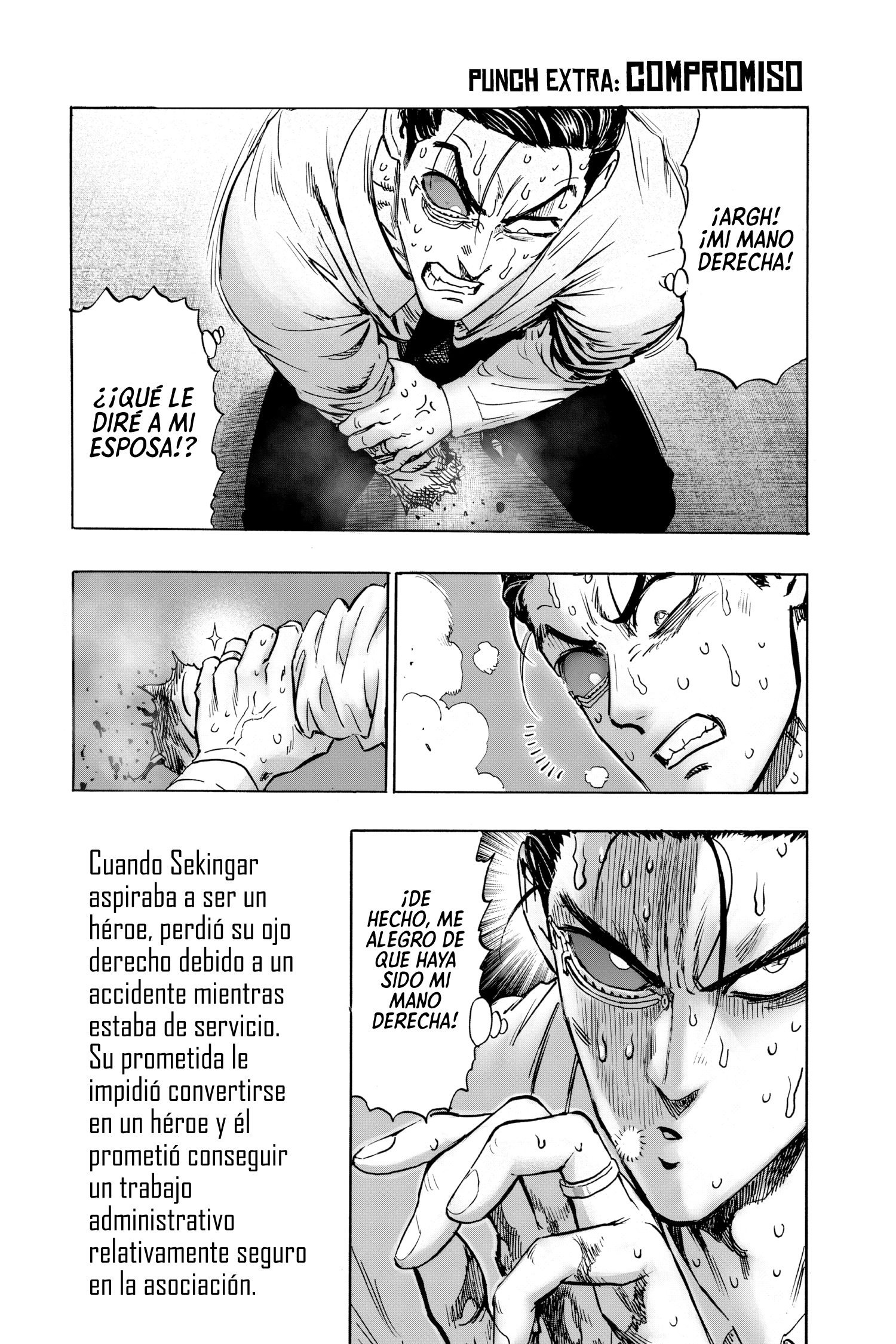 Read One Punch-Man ES Manga Online