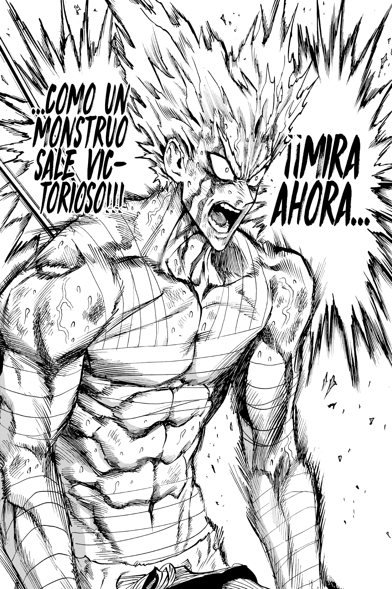 Read One Punch-Man ES Manga Online