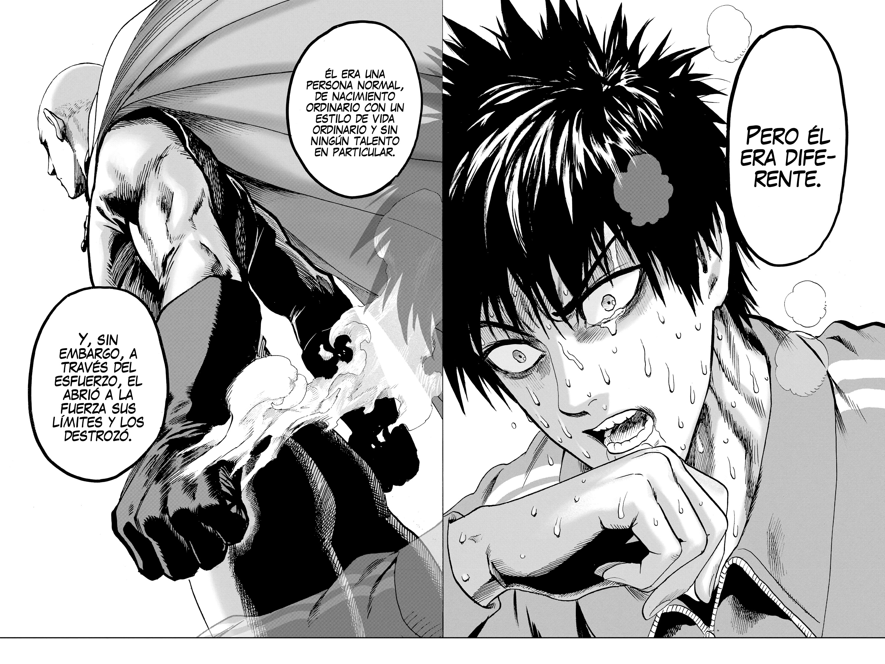 Read One Punch-Man ES Manga Online