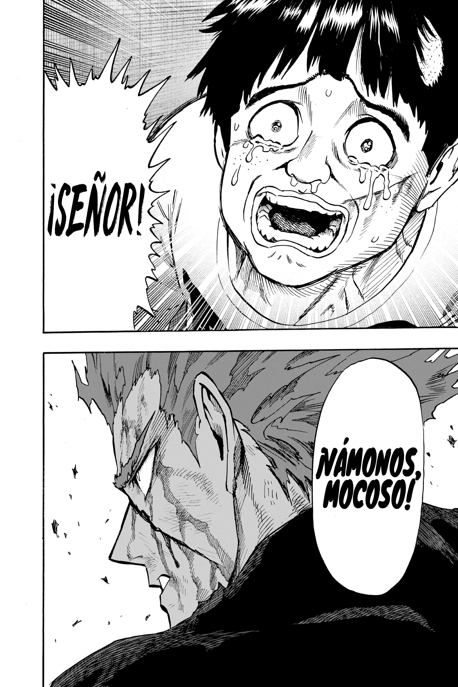 Read One Punch-Man ES Manga Online