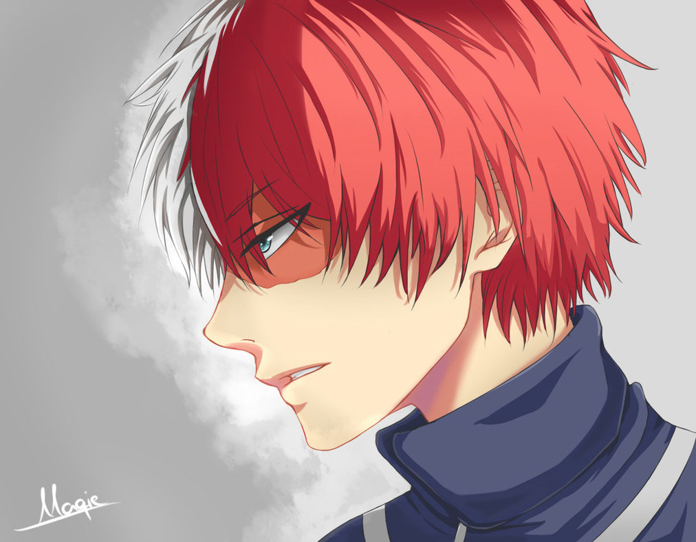 Read Boku no Hero Academia FR Manga Online