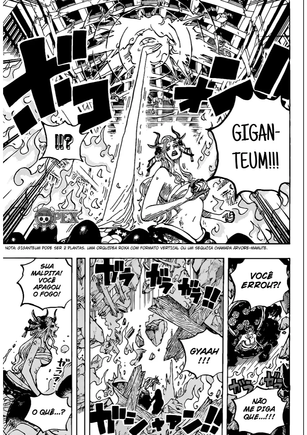 Read One Piece PT Manga Online