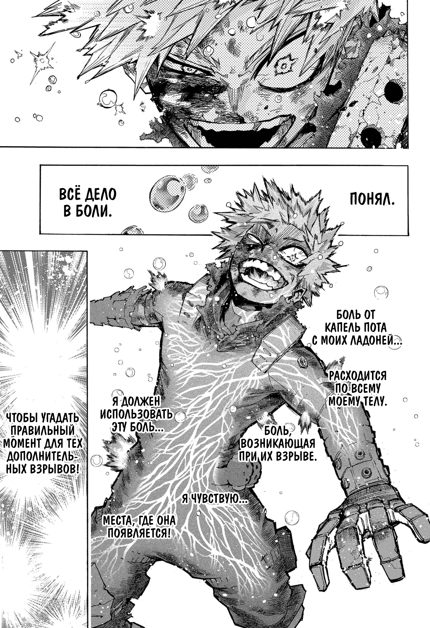Read Boku no Hero Academia RU Manga Online