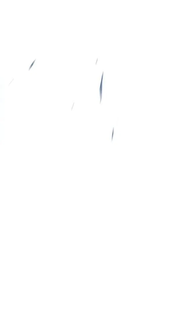 Read Eleceed RU Manga Online