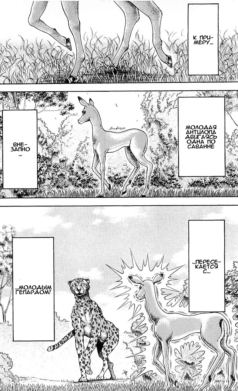 Read Hanma Baki RU Manga Online