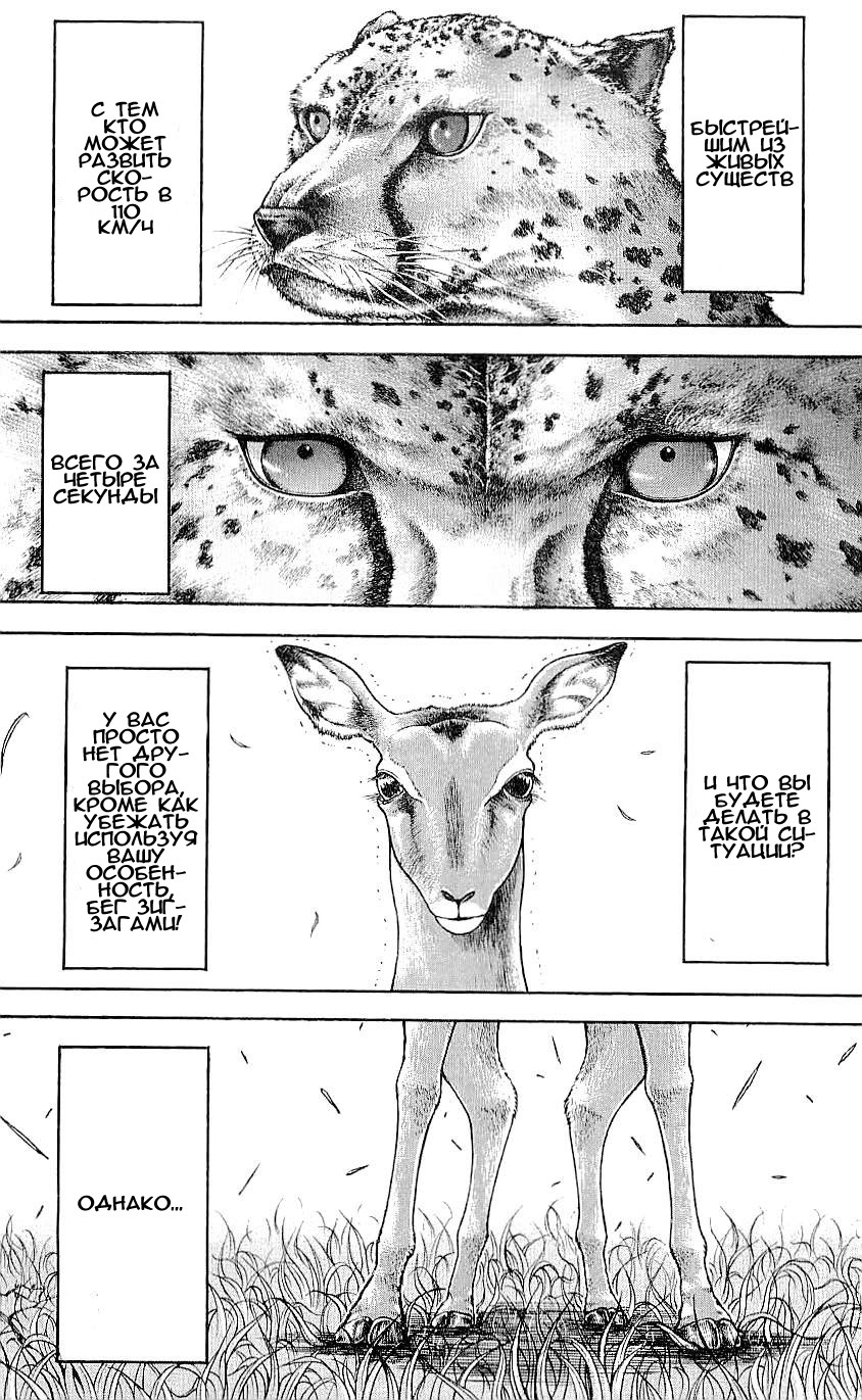 Read Hanma Baki RU Manga Online