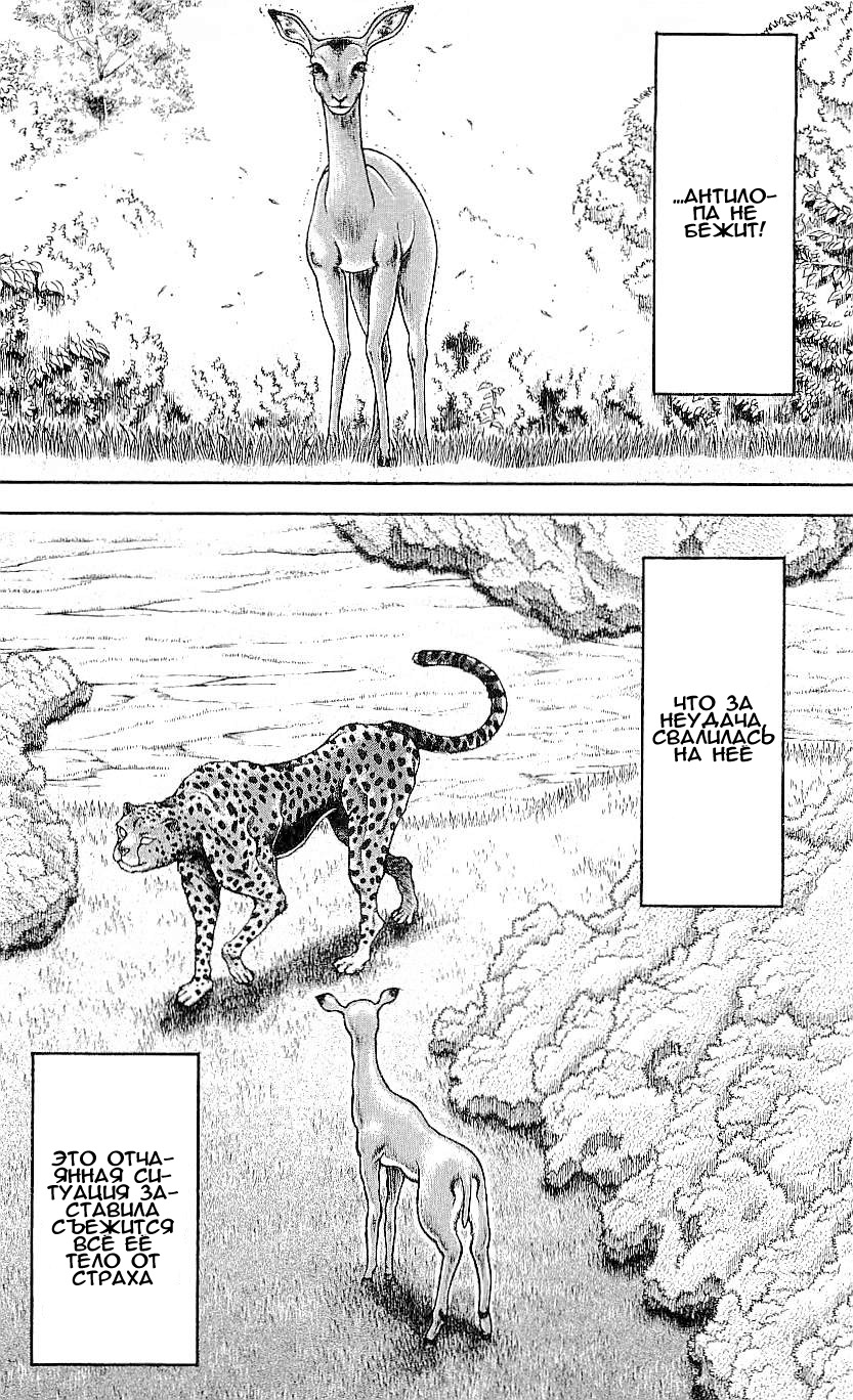 Read Hanma Baki RU Manga Online