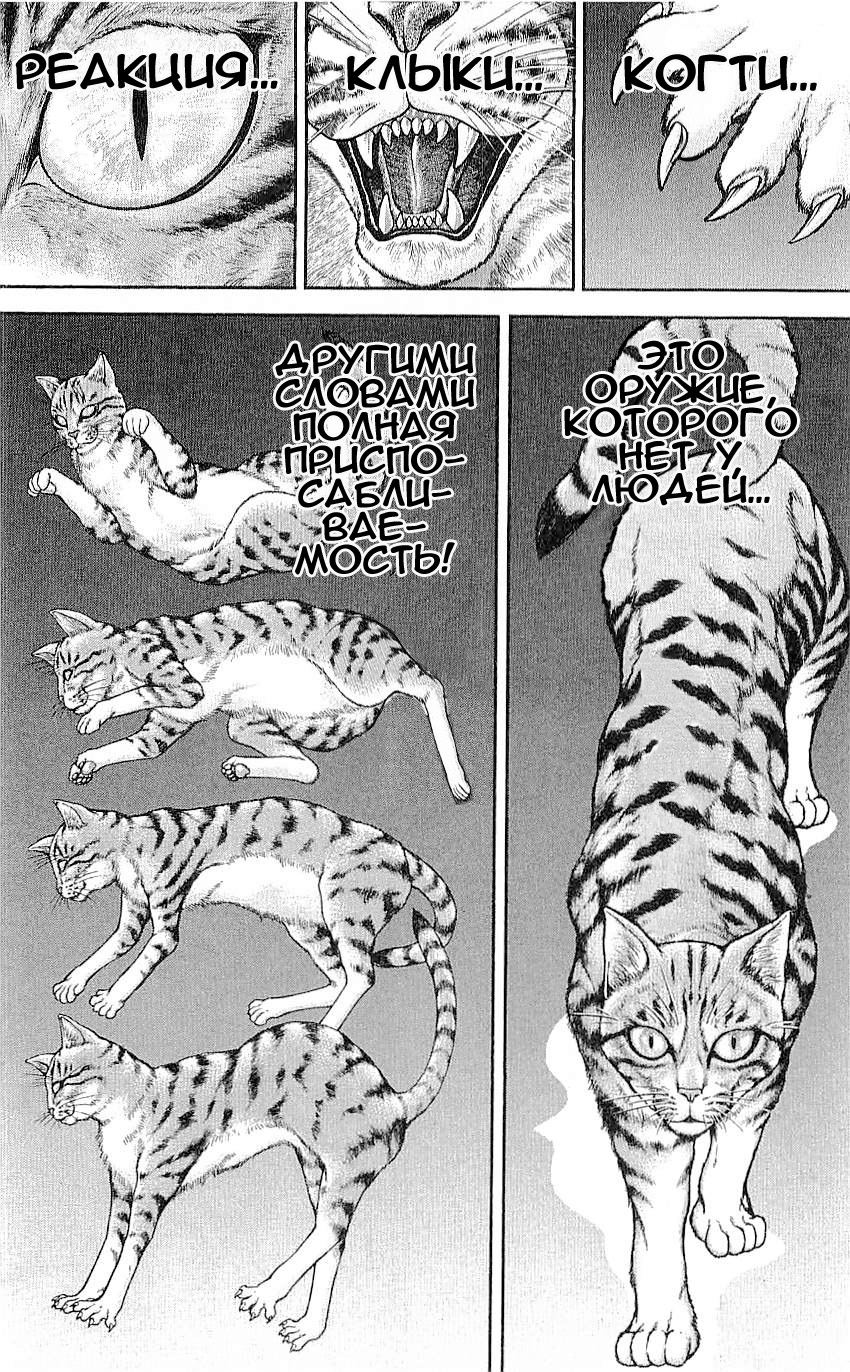 Read Hanma Baki RU Manga Online