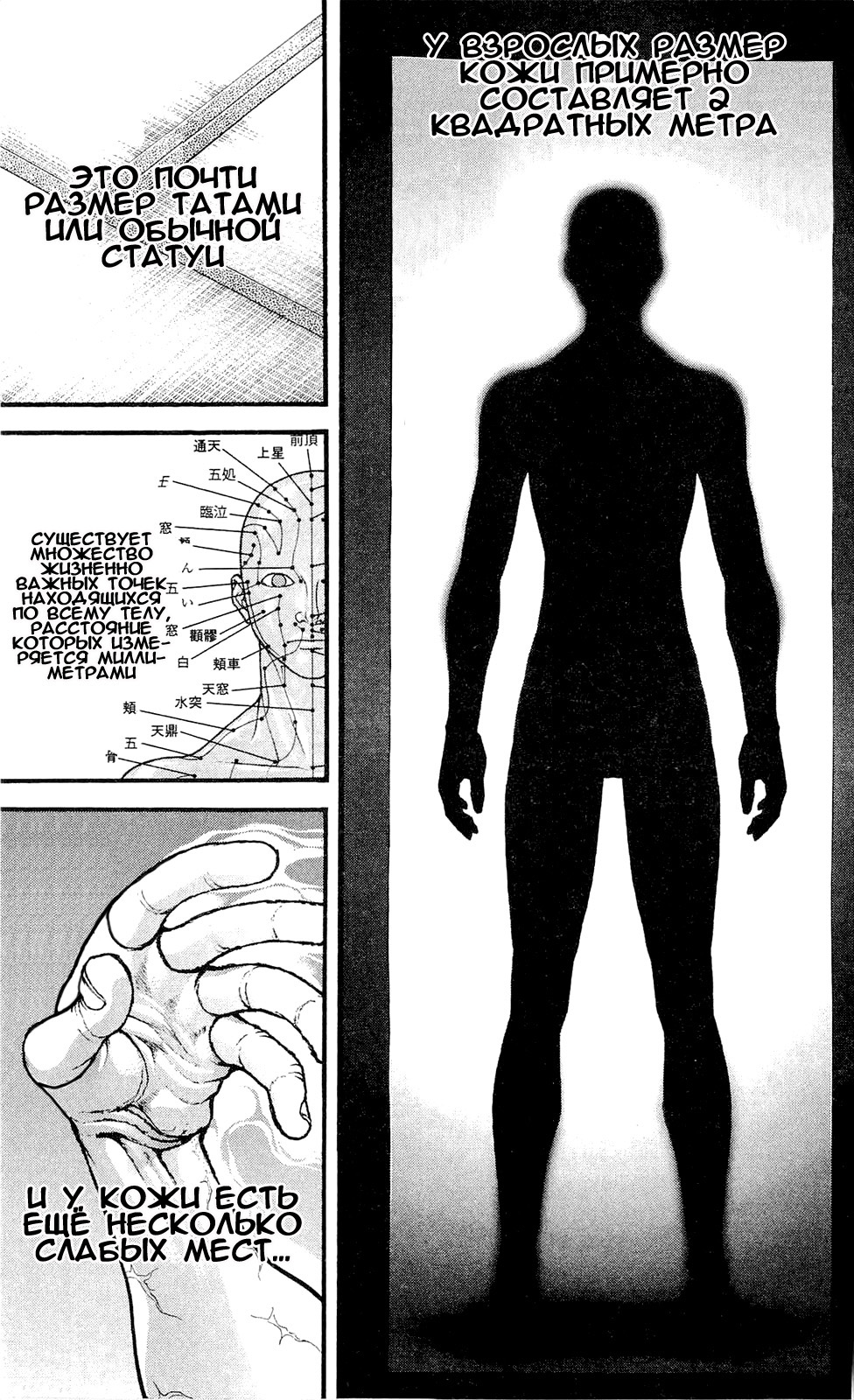 Read Hanma Baki RU Manga Online