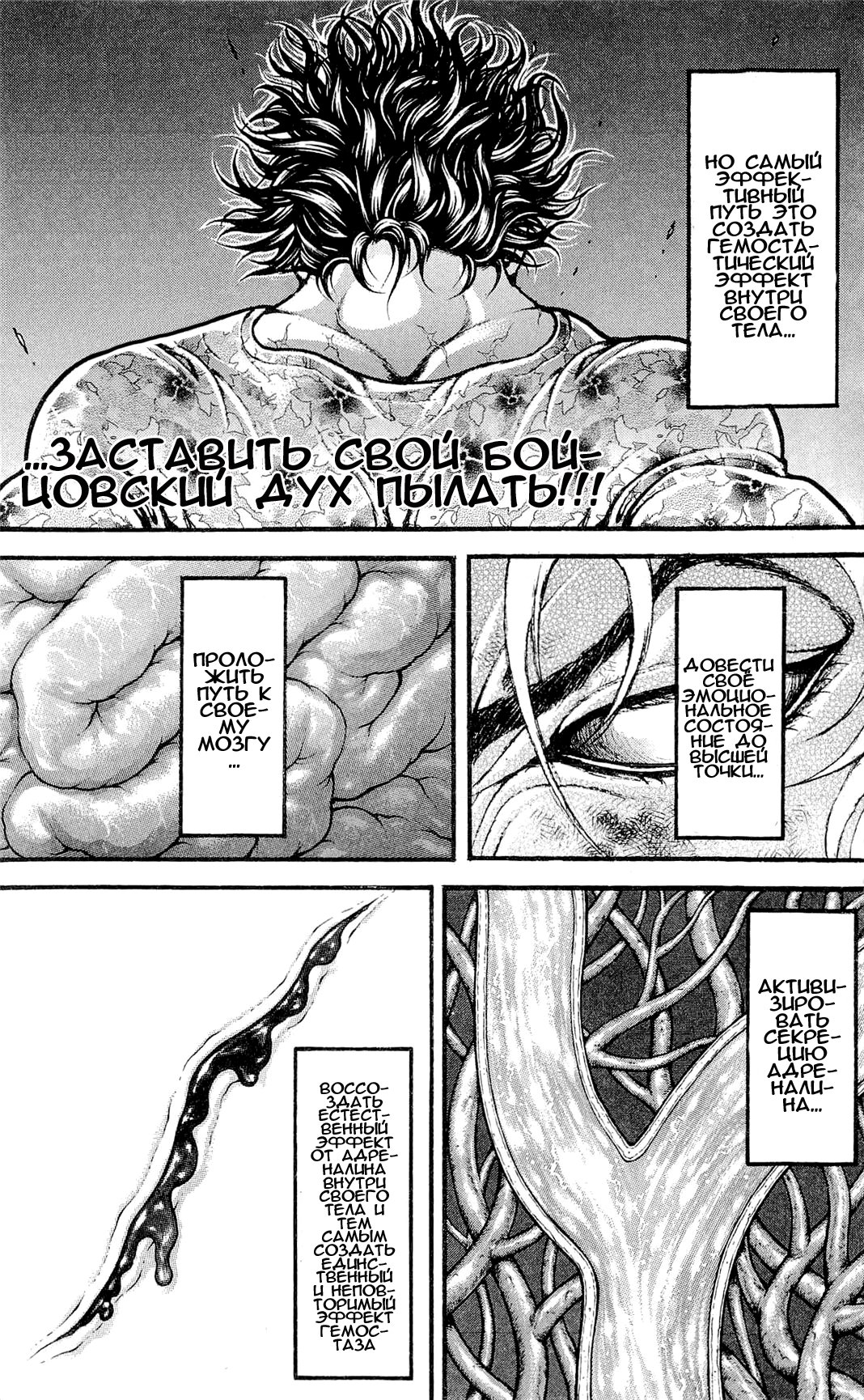 Read Hanma Baki RU Manga Online