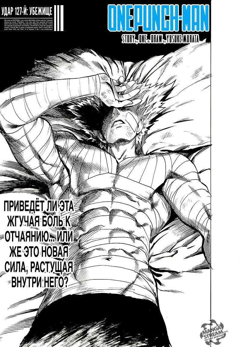 Read One-Punch Man RU Manga Online