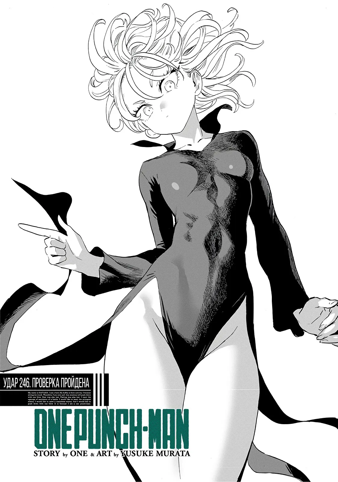 Read One-Punch Man RU Manga Online