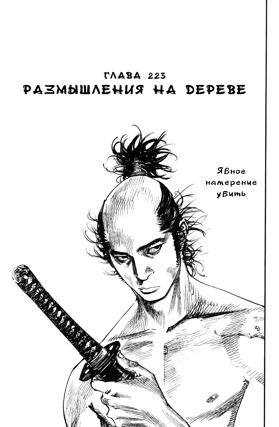 Read Vagabond RU Manga Online