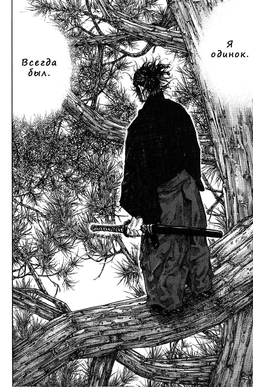 Read Vagabond RU Manga Online