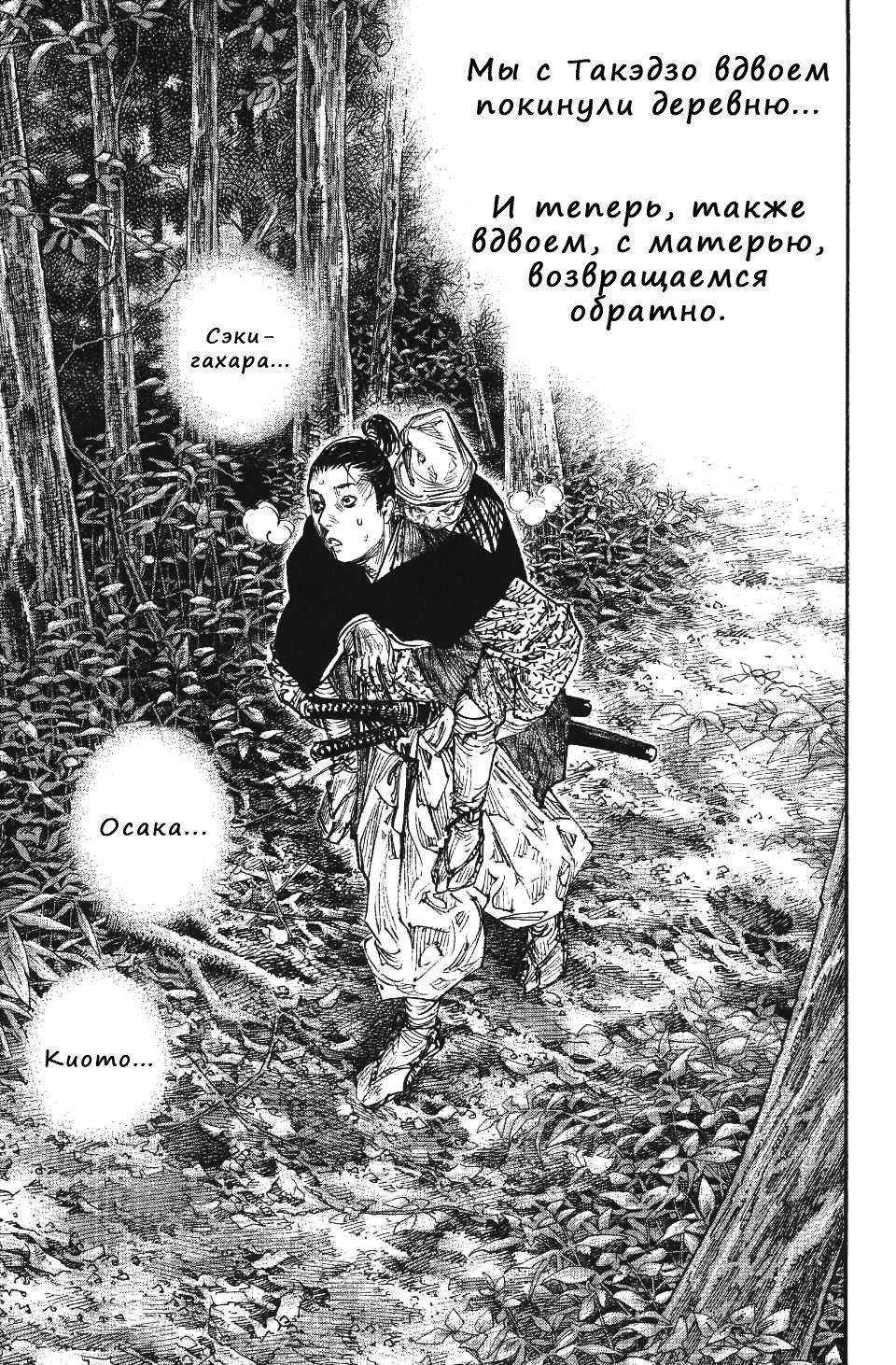 Read Vagabond RU Manga Online