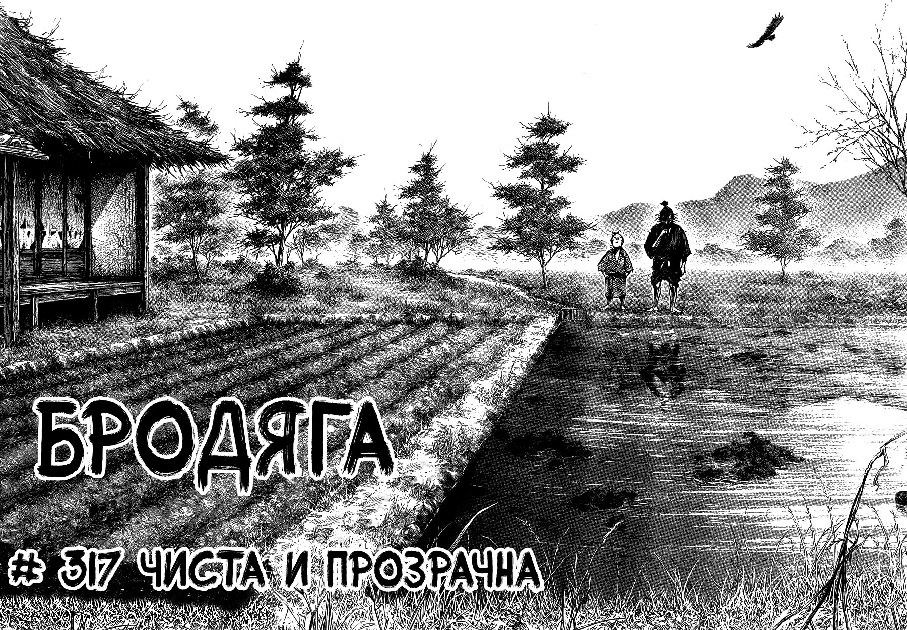 Read Vagabond RU Manga Online