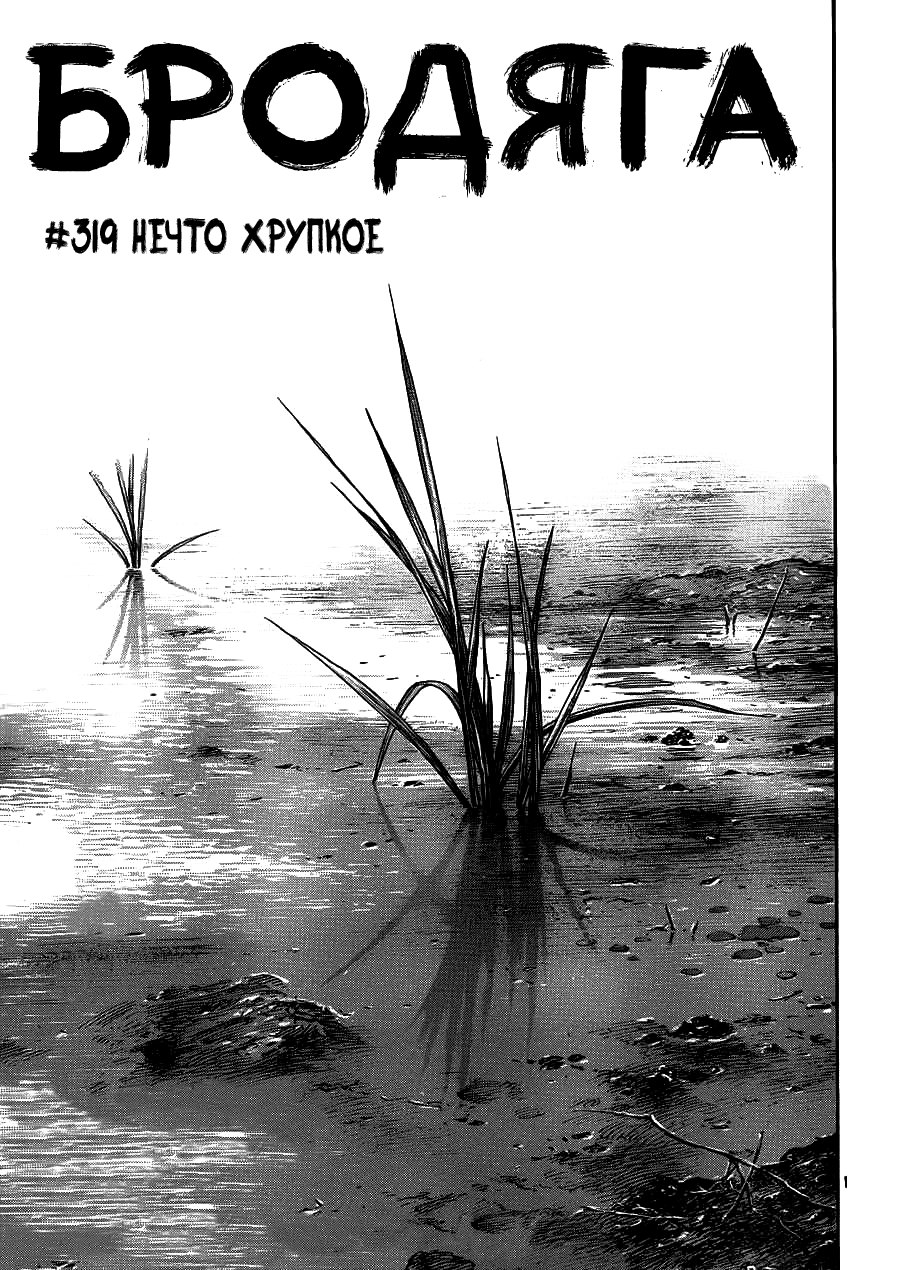 Read Vagabond RU Manga Online