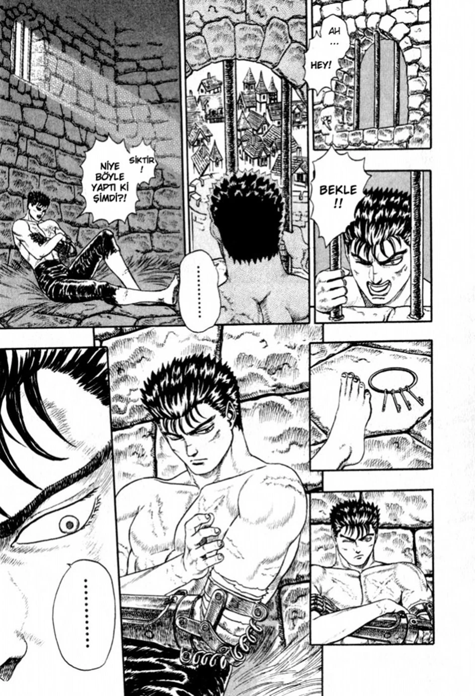 Read Berserk TR Manga Online