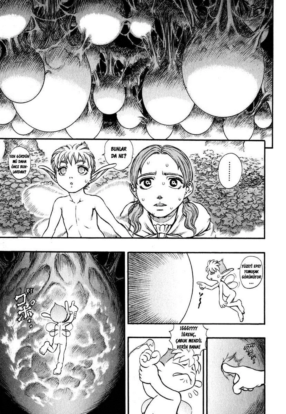 Read Berserk TR Manga Online
