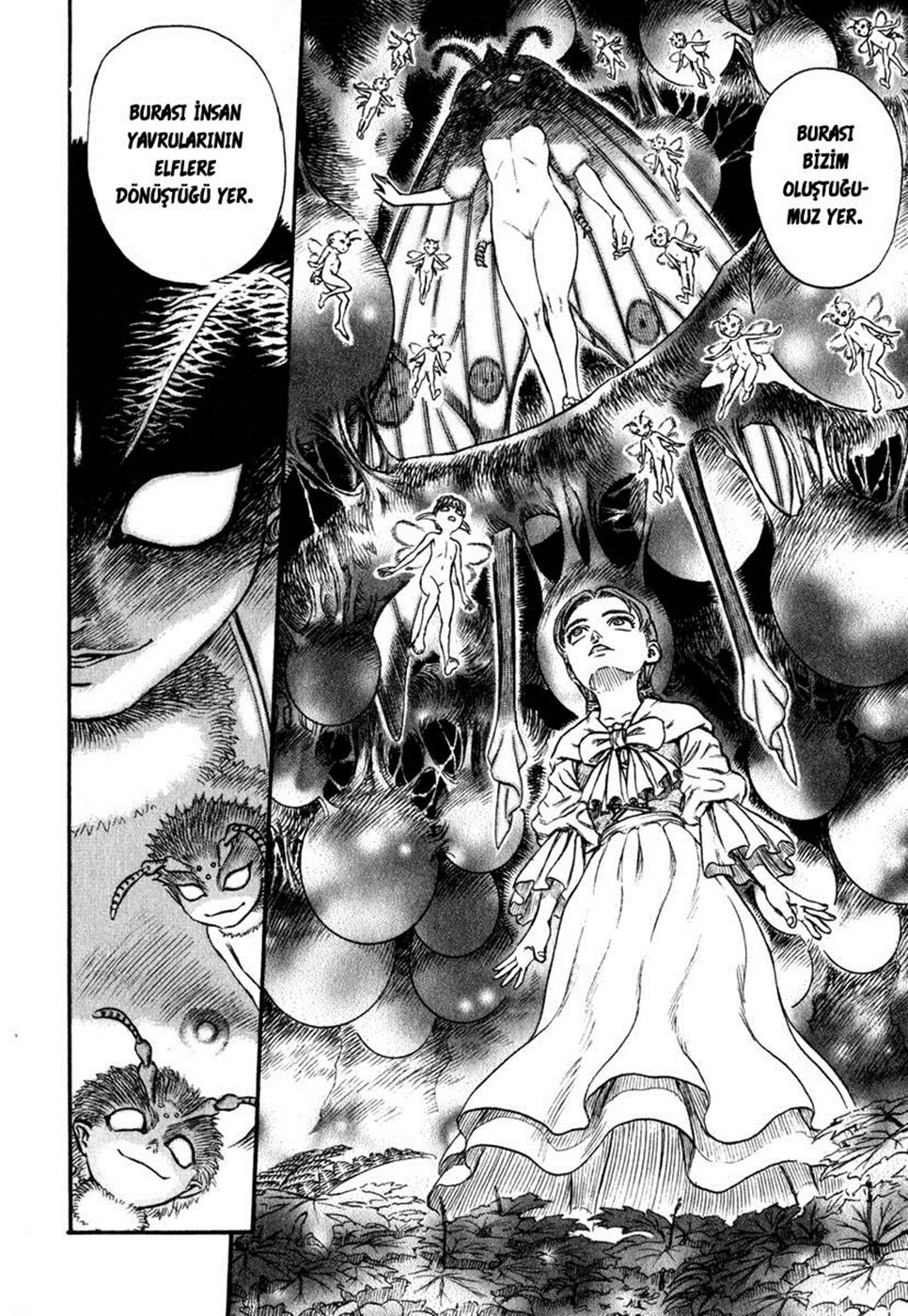 Read Berserk TR Manga Online