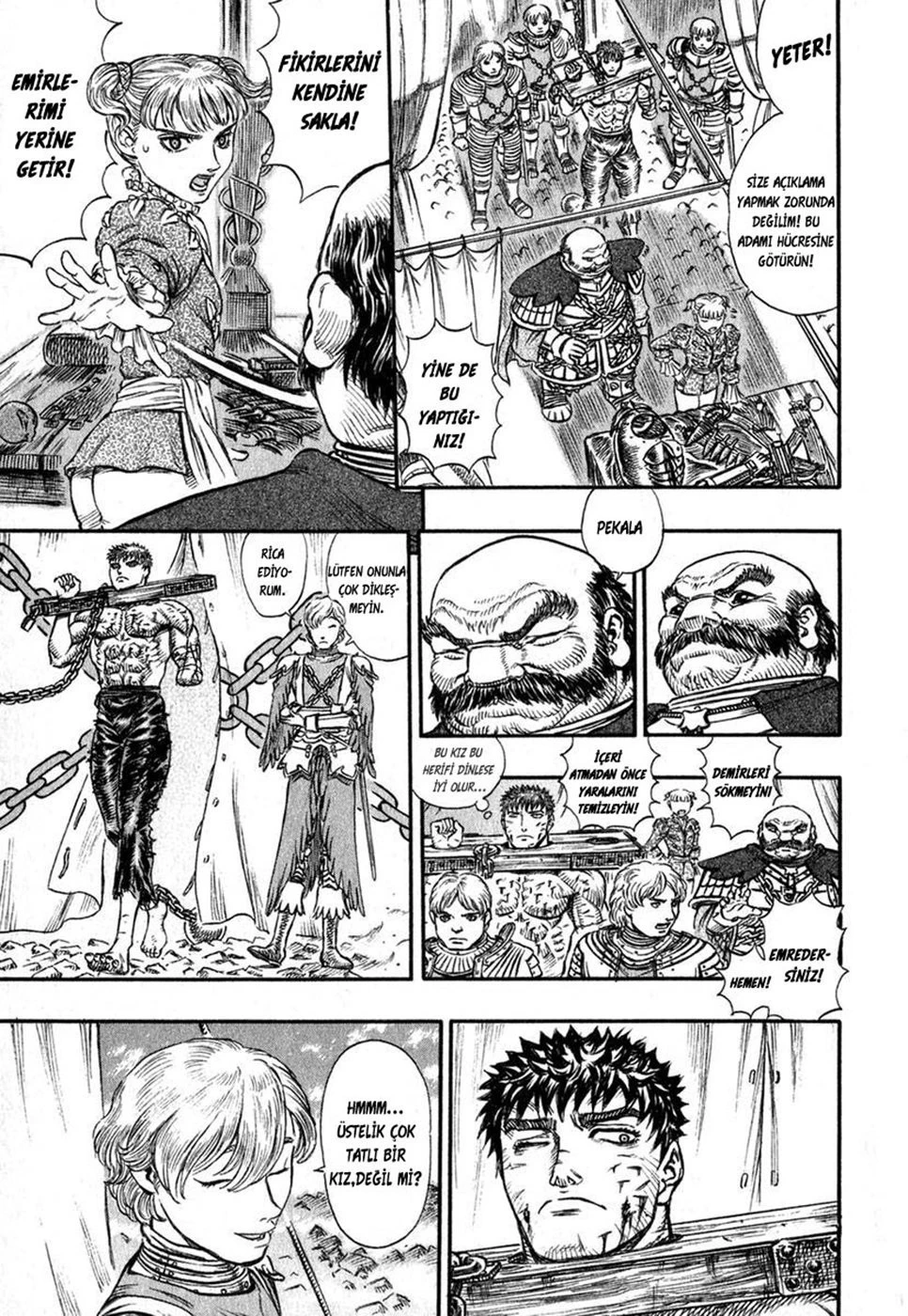 Read Berserk TR Manga Online