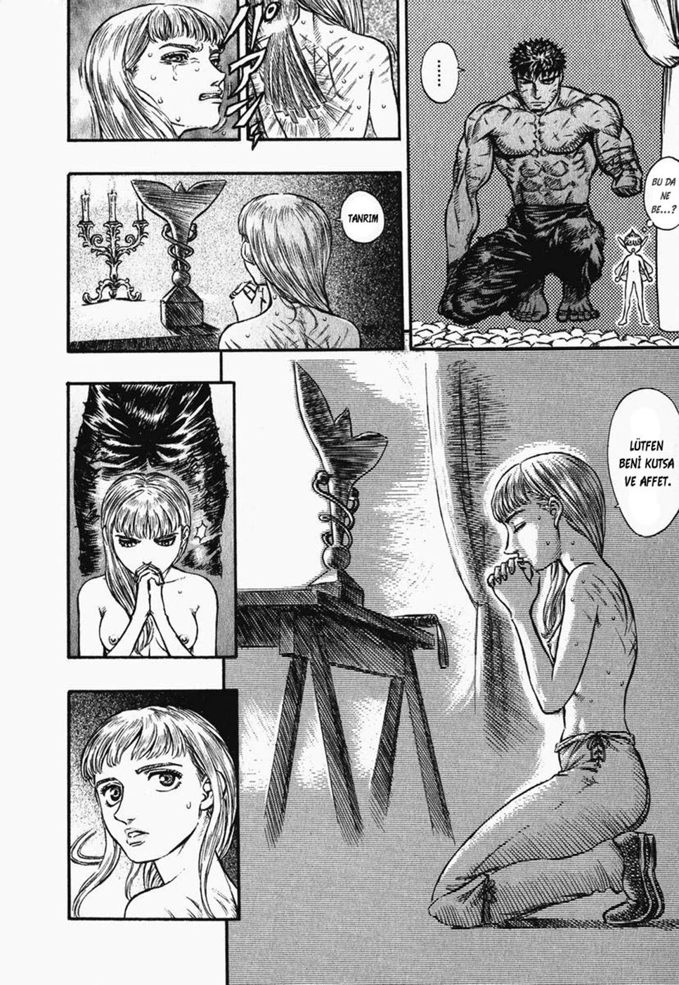 Read Berserk TR Manga Online