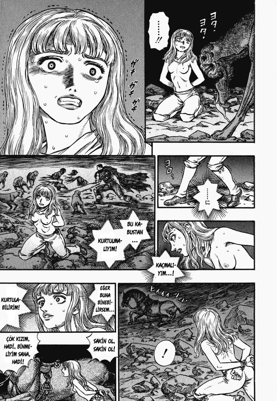 Read Berserk TR Manga Online