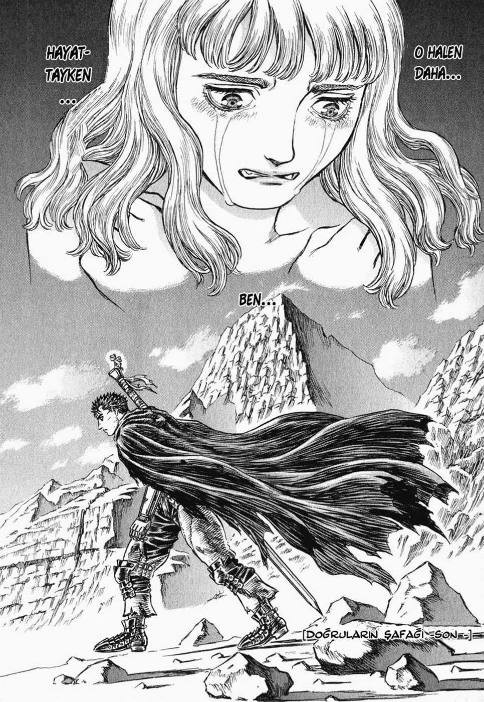Read Berserk TR Manga Online