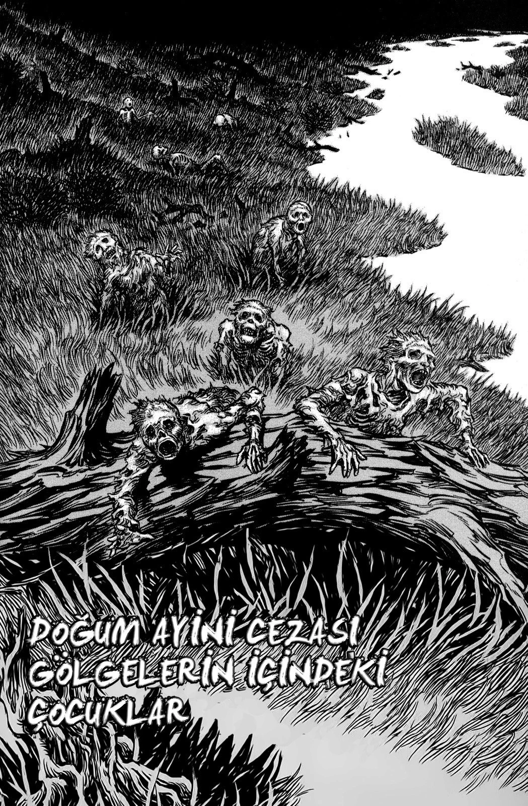 Read Berserk TR Manga Online