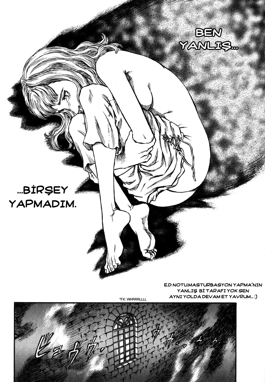 Read Berserk TR Manga Online