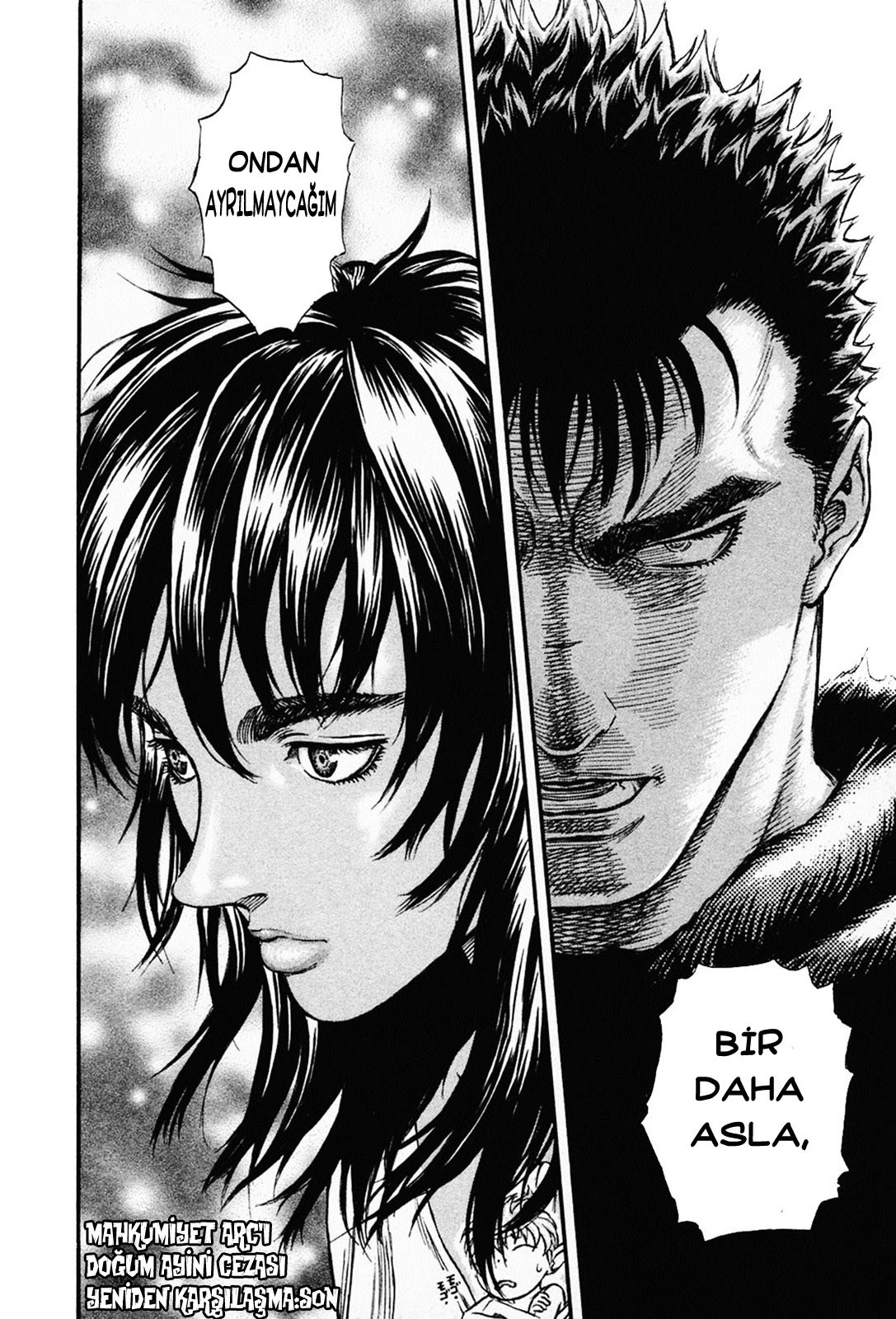 Read Berserk TR Manga Online