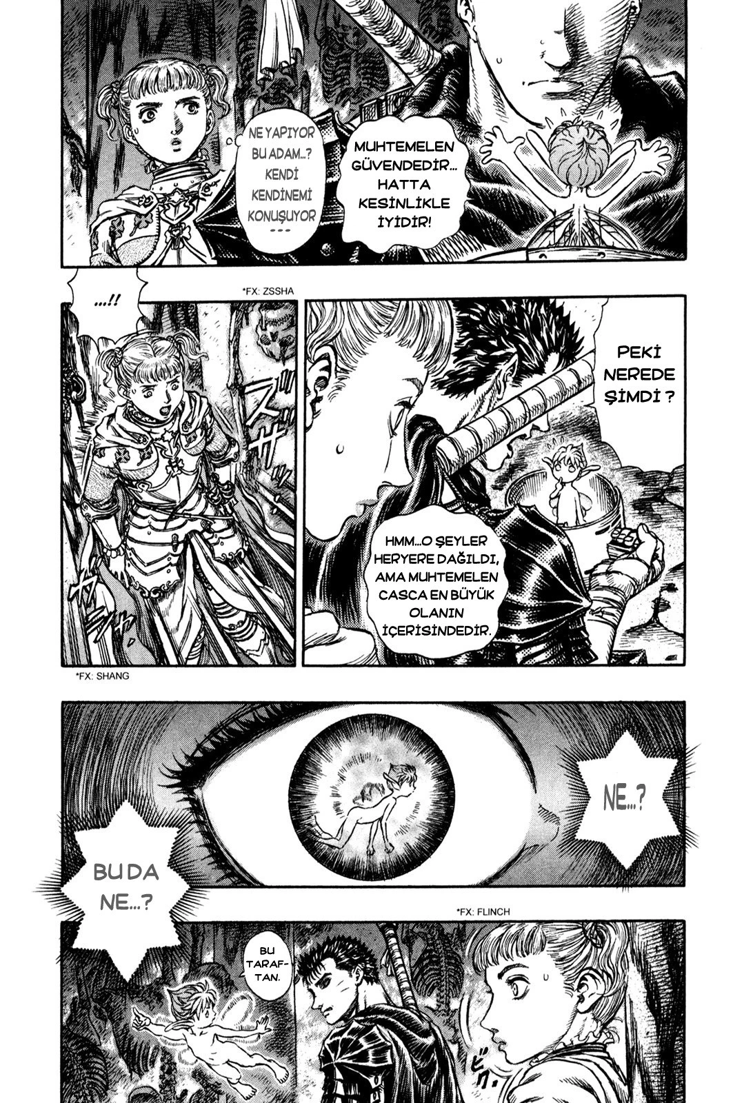 Read Berserk TR Manga Online