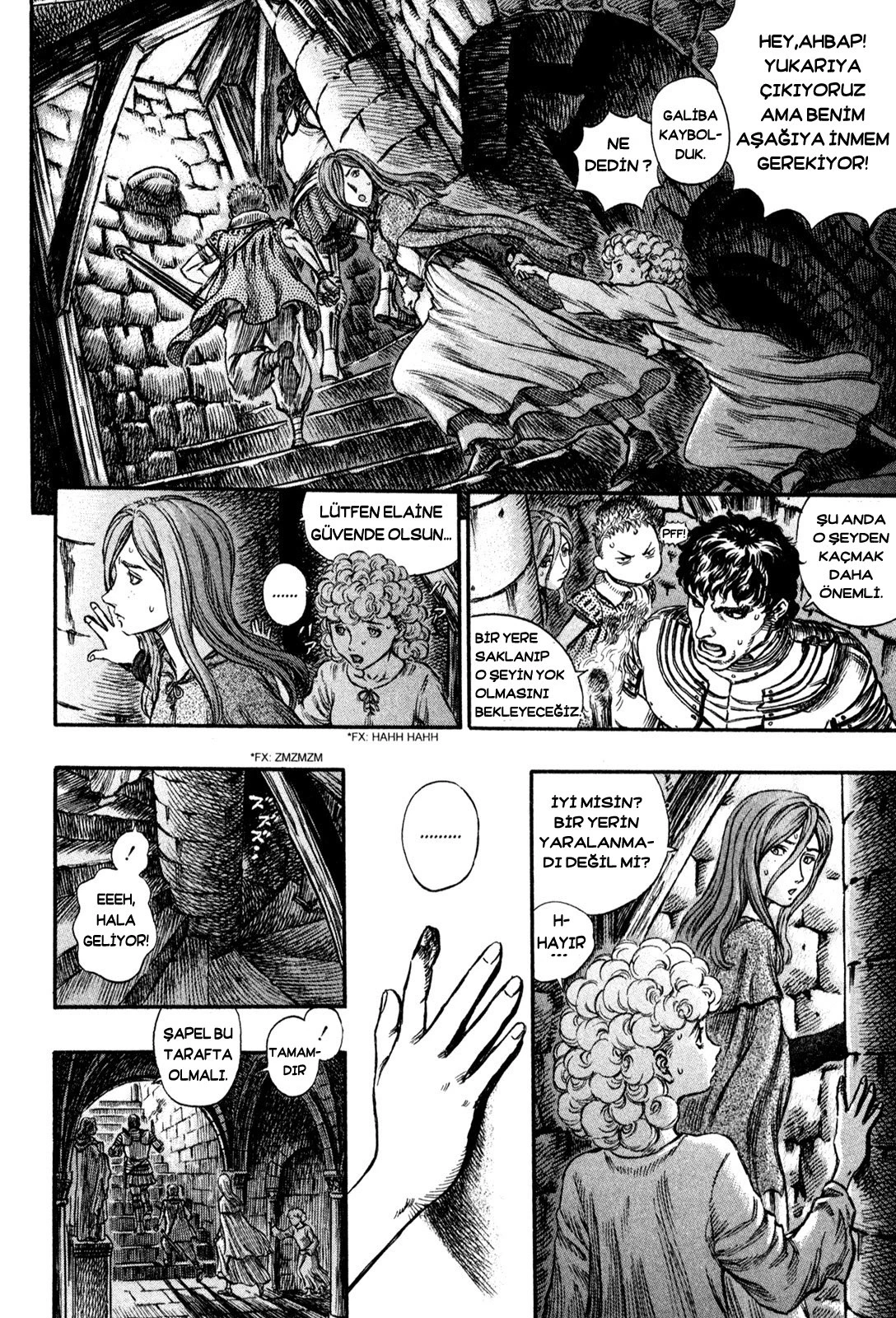 Read Berserk TR Manga Online