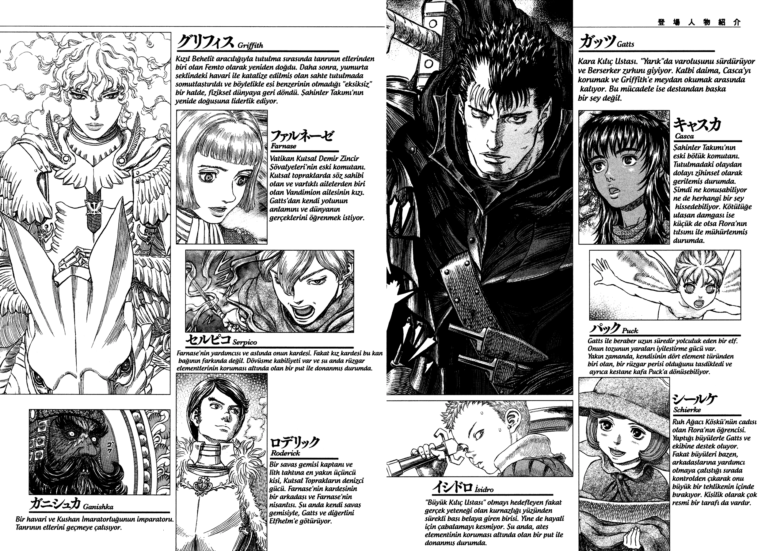 Read Berserk TR Manga Online