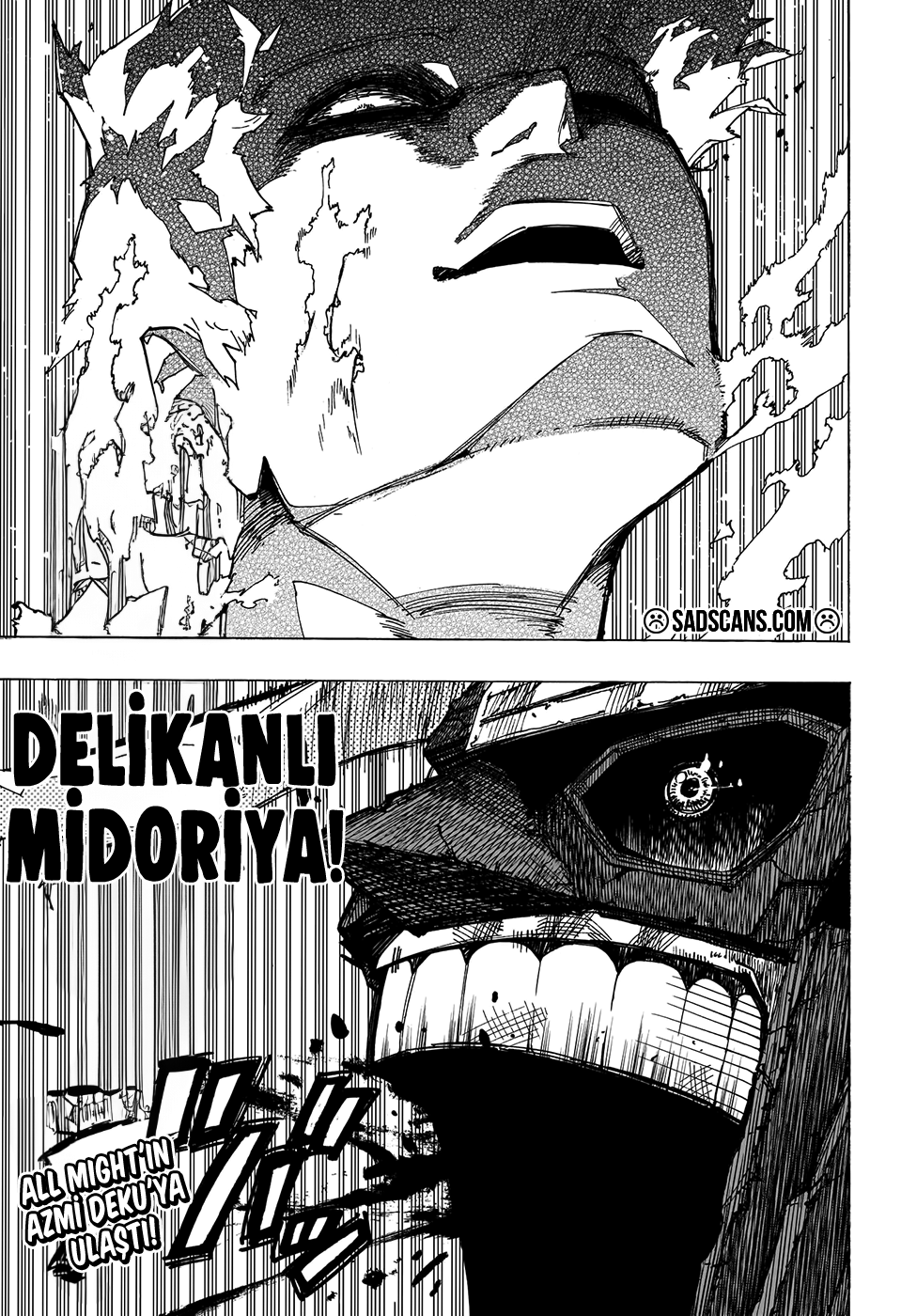 Read Boku no Hero Academia TR Manga Online